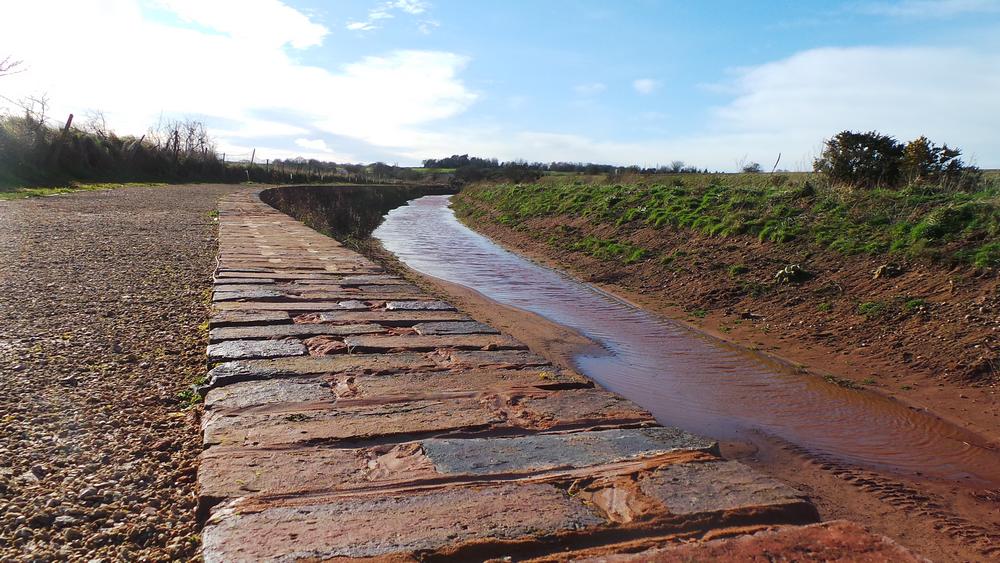 pic8